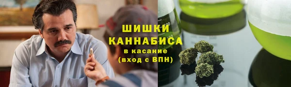 дмт Пересвет