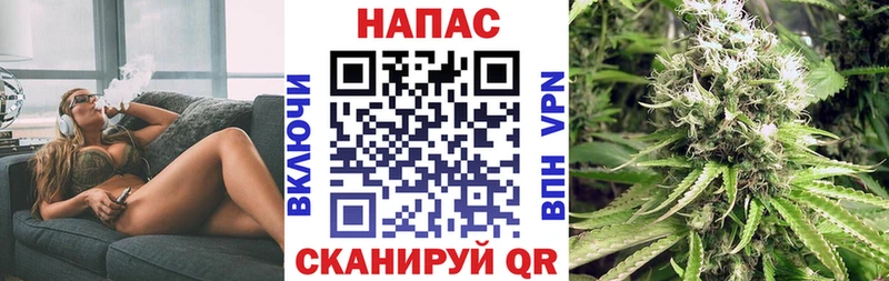 Бошки Шишки сатива Нахабино
